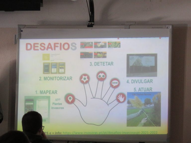 8ºA